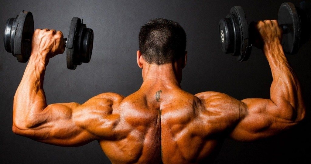 ENTRENAMIENTO MUSCULACIÓN